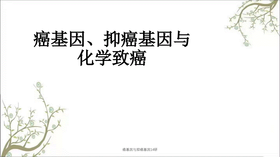 癌基因与抑癌基因14研课件_第1页