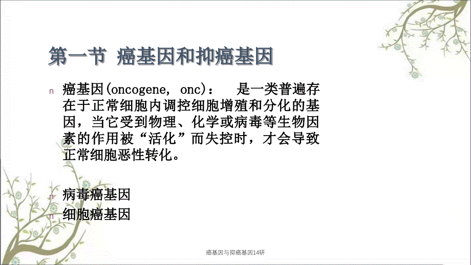 癌基因与抑癌基因14研课件_第2页