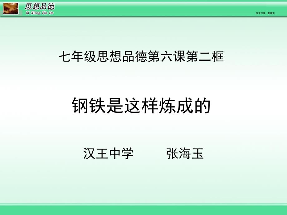 钢铁是这样炼成的张海玉_第1页