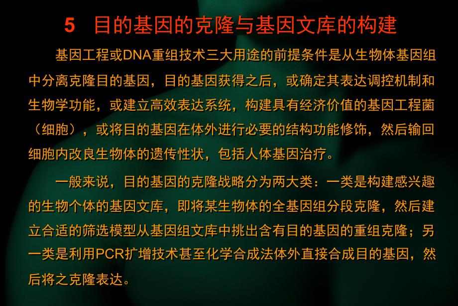 5目的基因的克隆与基因文库的构建_第2页