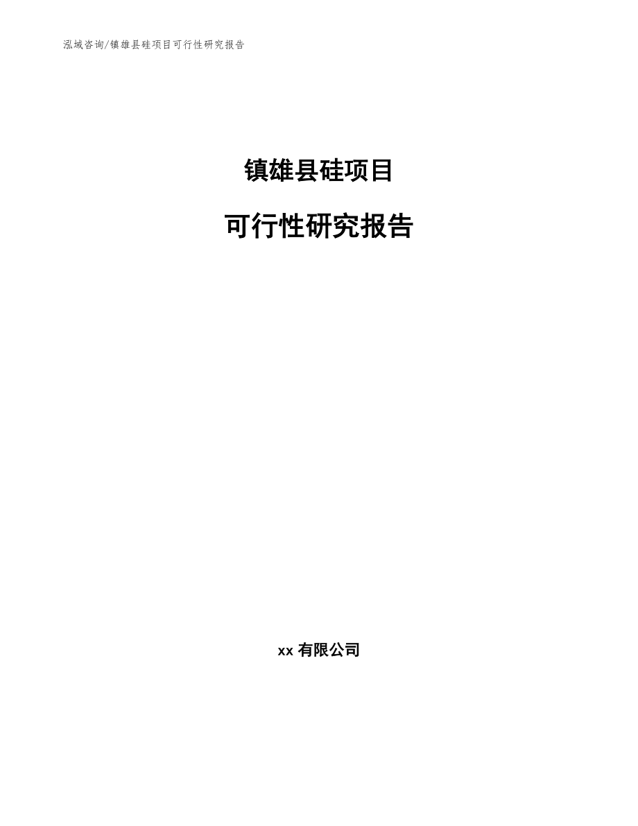 镇雄县硅项目可行性研究报告【模板】