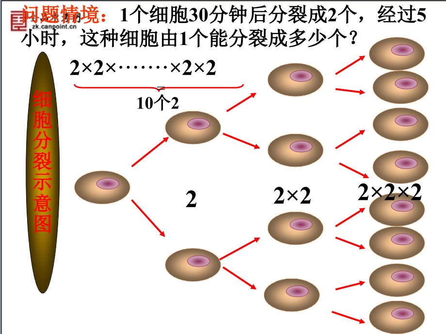 【课件】有理数的乘方_第2页