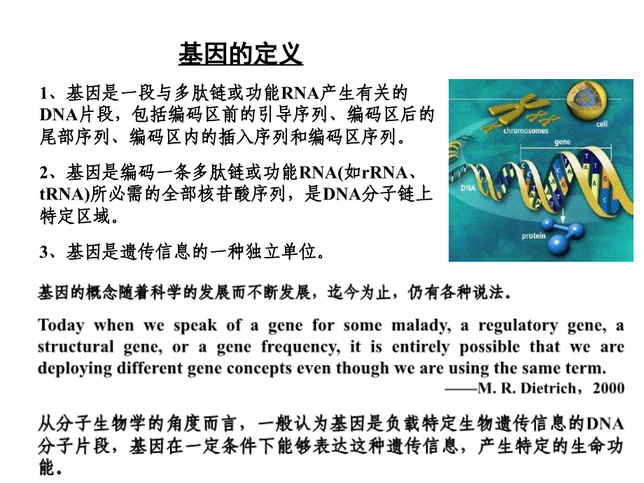 生物信息学讲义第六章_第3页