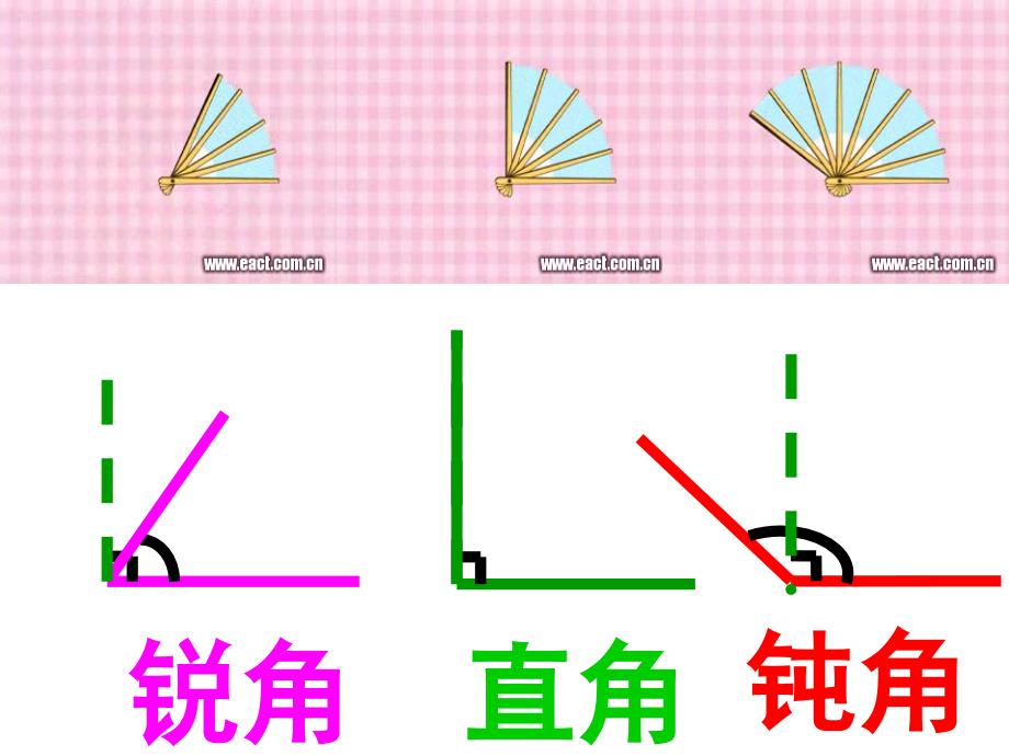 张伟角的分类_第3页