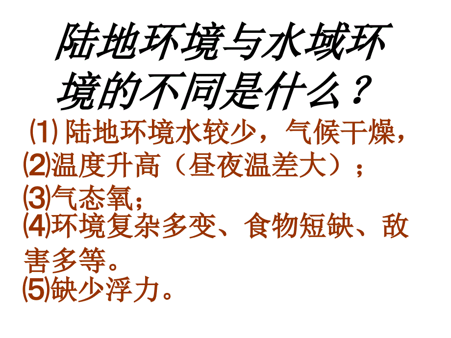 陆地生活的动物：_第3页