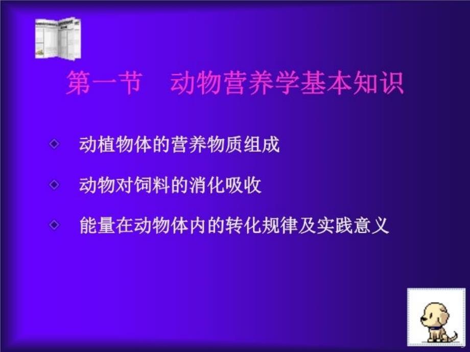 最新动物营养与饲料学课件PPT课件_第3页