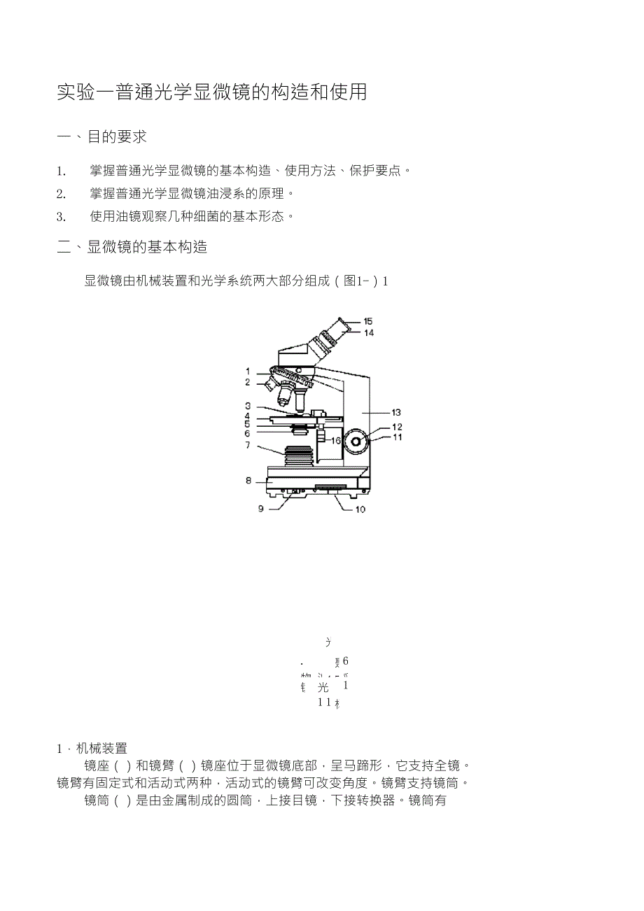 光学显微镜的构造和使用_第1页