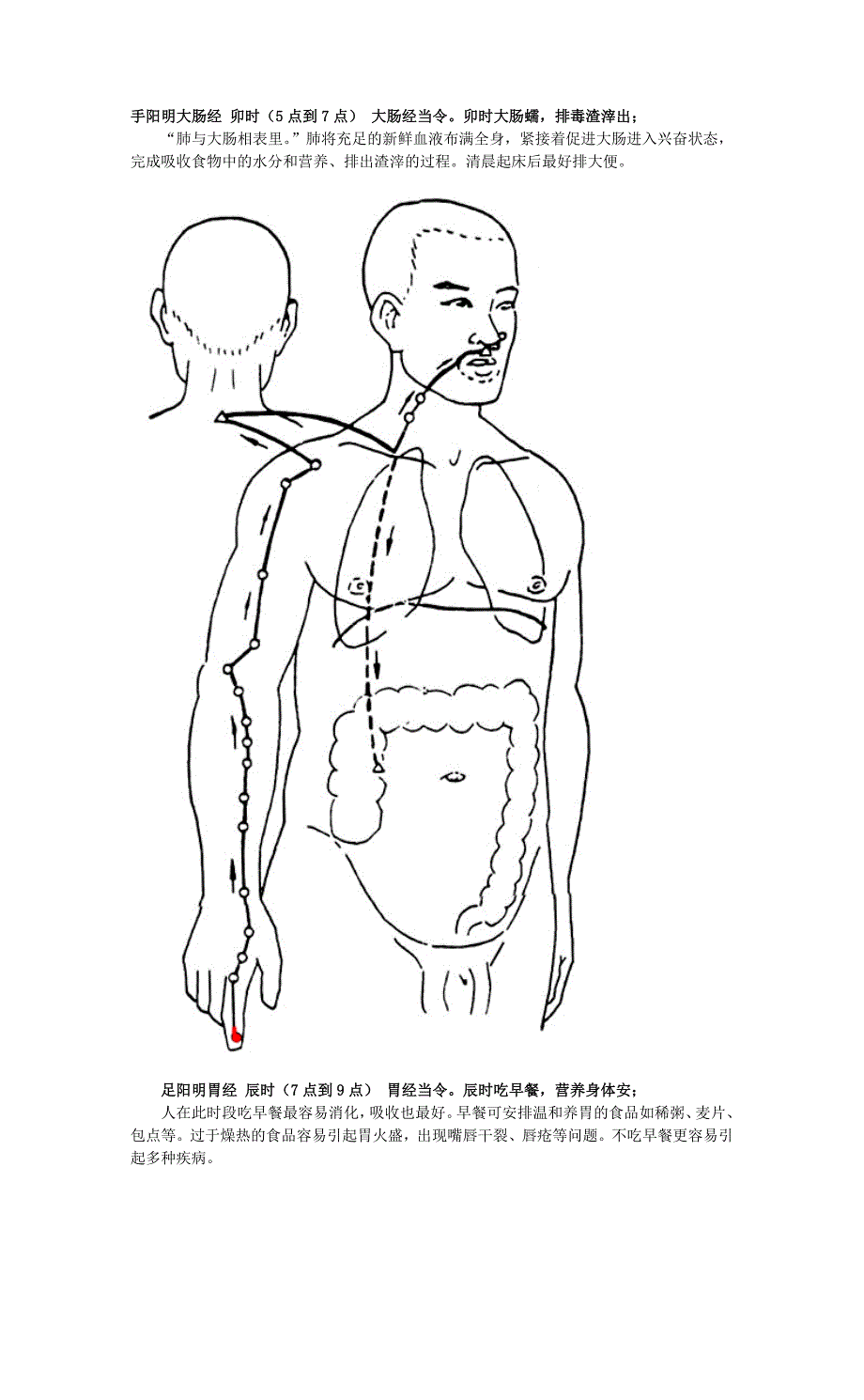 人体经络与十二时辰养生%2B附图.doc_第2页