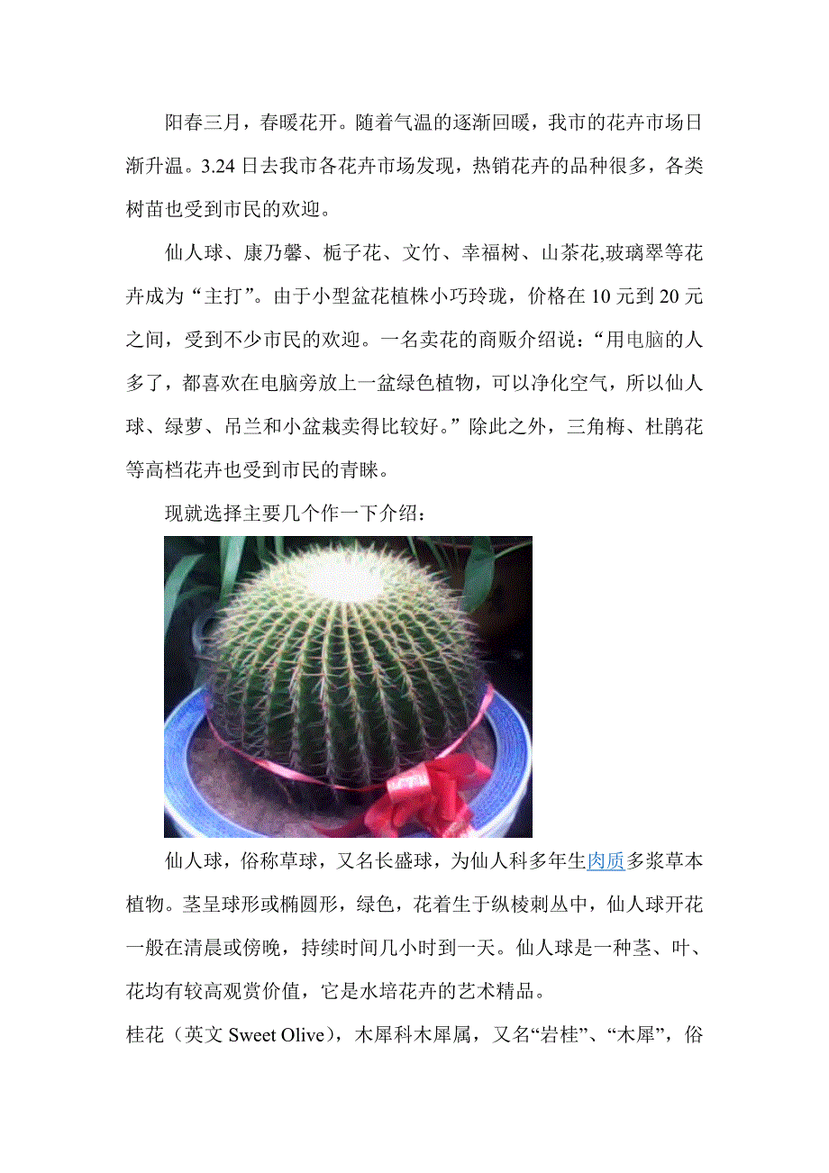 花卉市场调查.doc_第2页