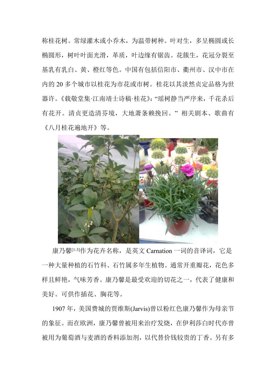 花卉市场调查.doc_第3页