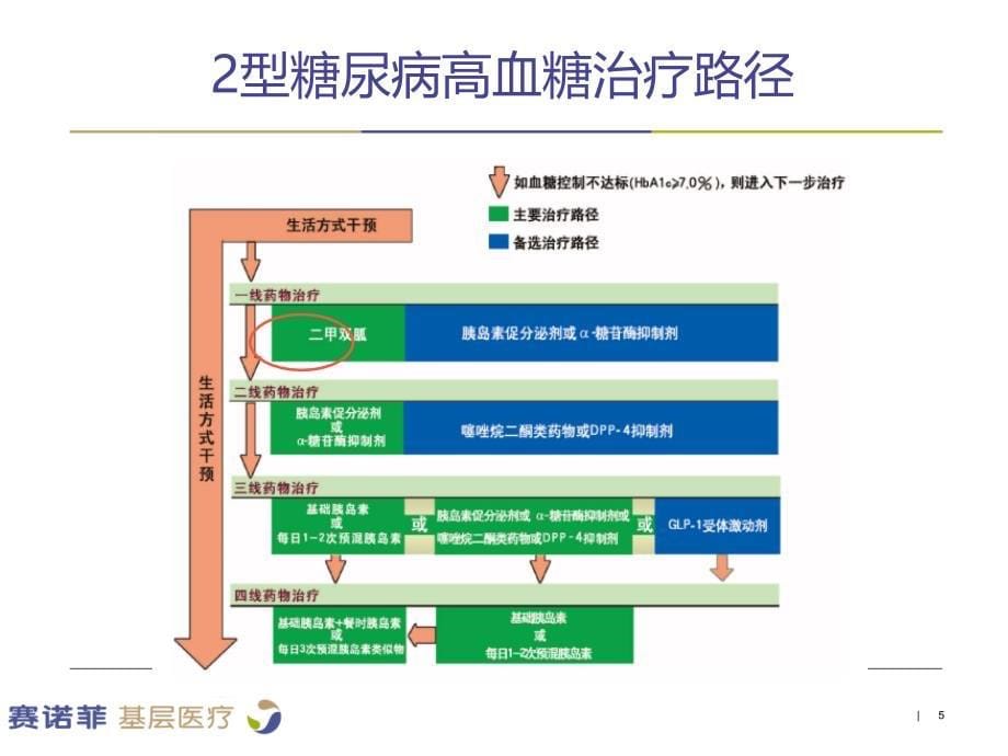 高血糖药物治疗PPT课件_第5页