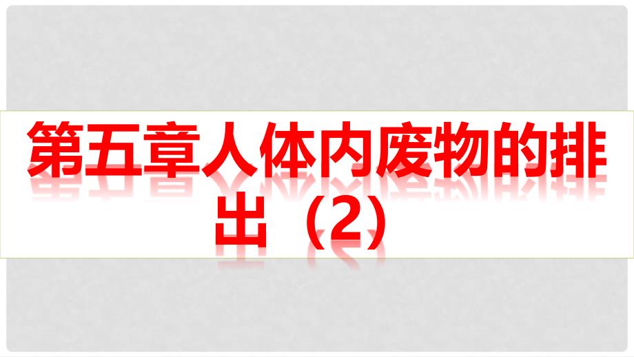 广东省河源市七年级生物上册 4.5 人体内废物的排出（第2课时）课件 （新版）新人教版_第1页