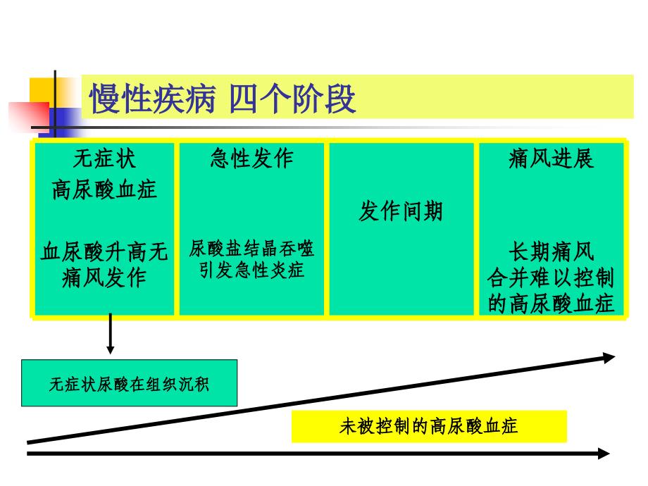 合理诊治痛风性关节炎的探讨课件文档资料_第3页