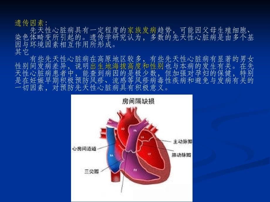 人体生理解剖学心脏病PPT课件_第5页