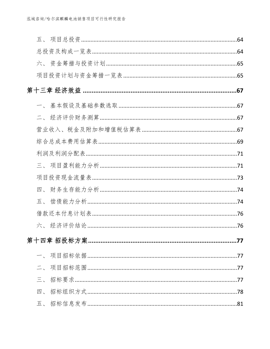 哈尔滨麒麟电池销售项目可行性研究报告_第4页