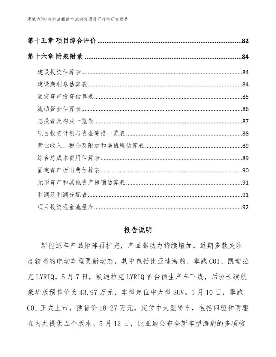 哈尔滨麒麟电池销售项目可行性研究报告_第5页