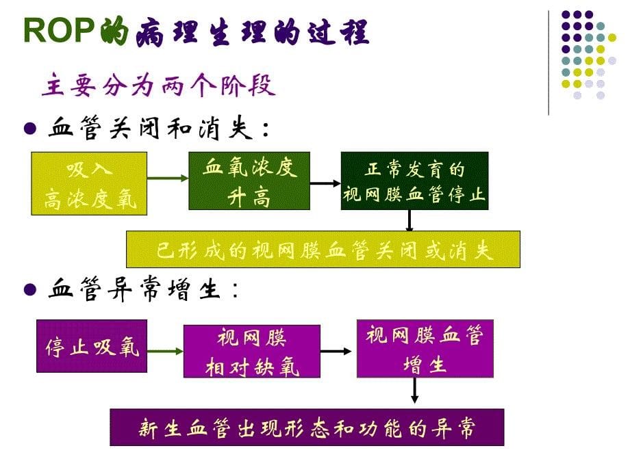 早产儿视网膜病_第5页