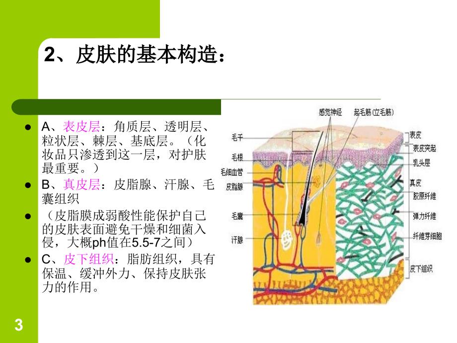 皮肤清洁与护理课件_第3页