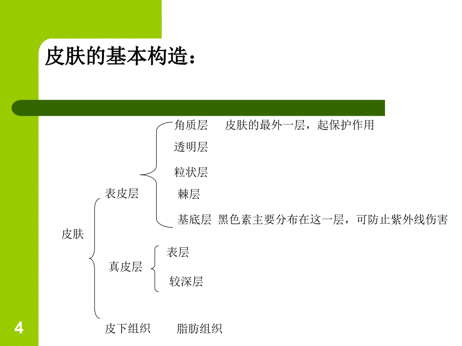 皮肤清洁与护理课件_第4页