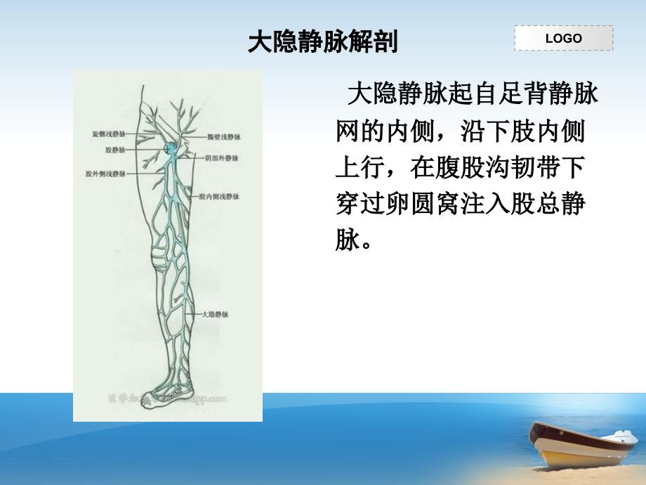 大隐静脉曲张的手术配合_第4页