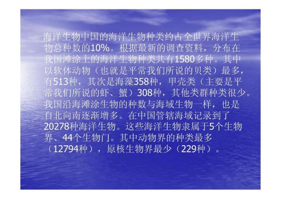 绚丽多彩的海洋世界NXPowerLite.ppt_第2页