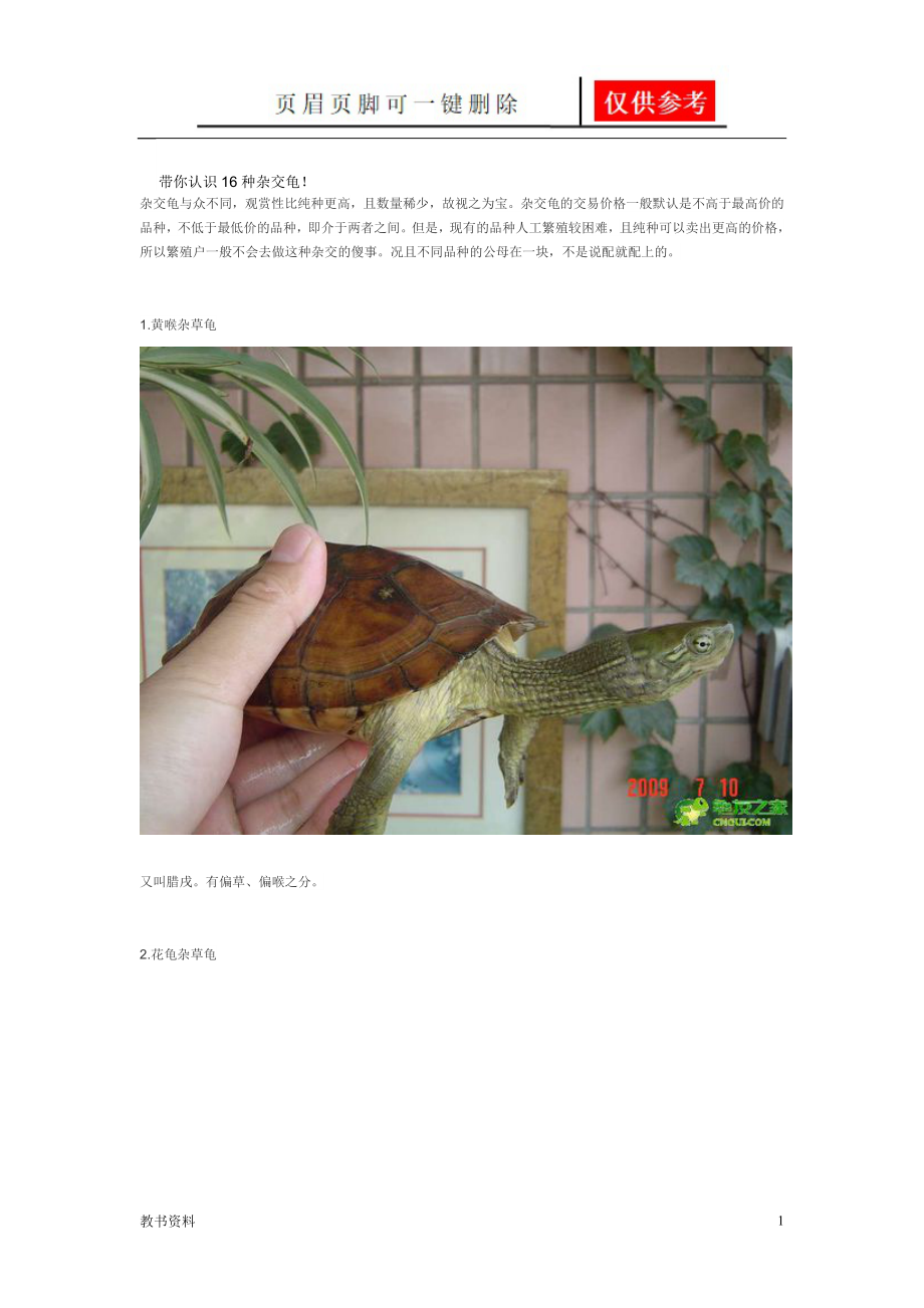 带你认识16种杂交龟[学习材料]_第1页