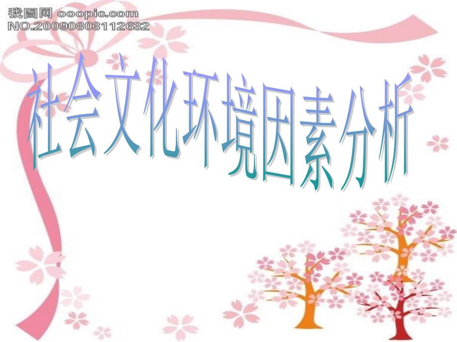 社会文化环境因素分析精品课件_第1页