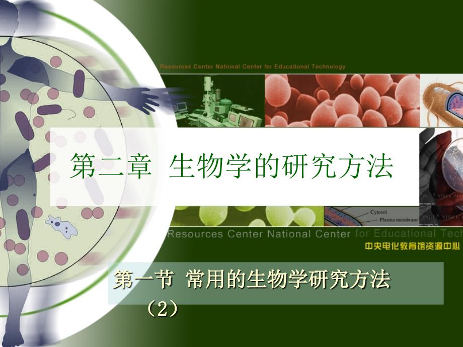 第一节常用的生物学研究方法2年8月17日精品教育_第1页