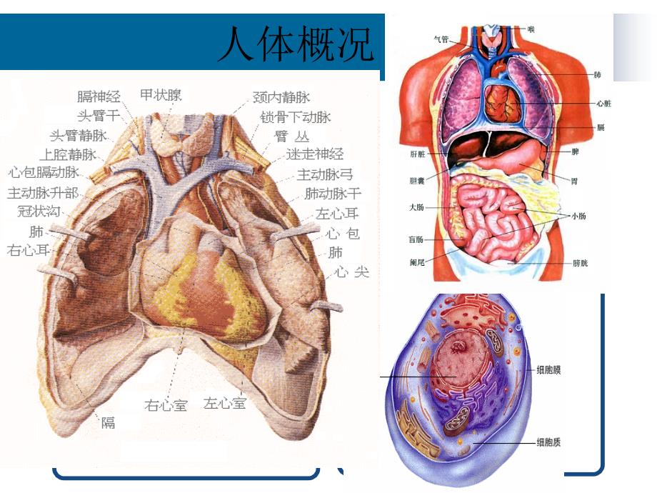 [指南]4.船上救护_第2页