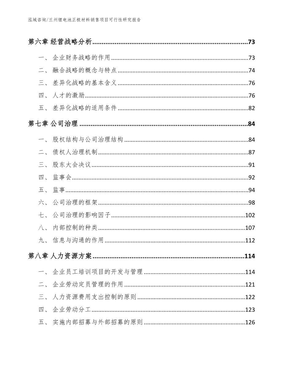 兰州锂电池正极材料销售项目可行性研究报告（参考模板）_第5页