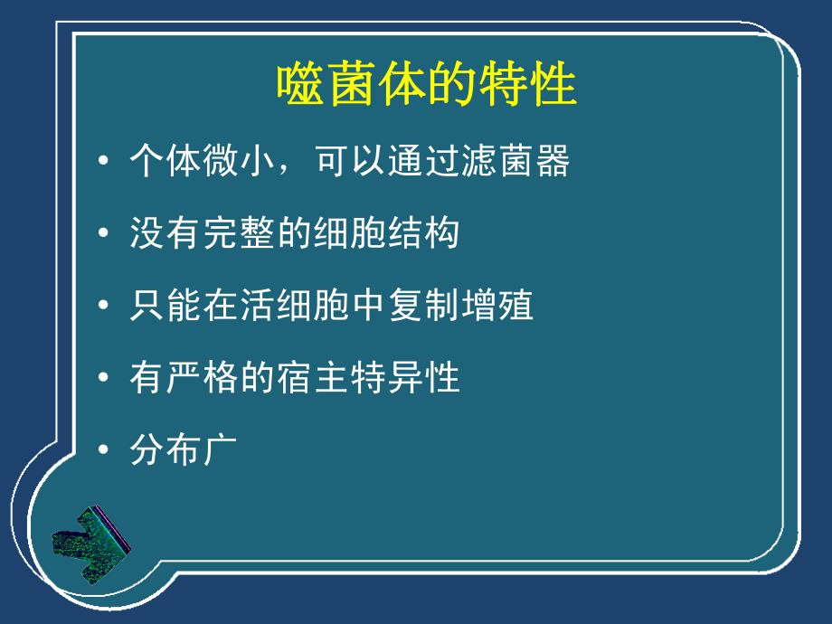 噬菌体、细菌的遗传和变异_第3页