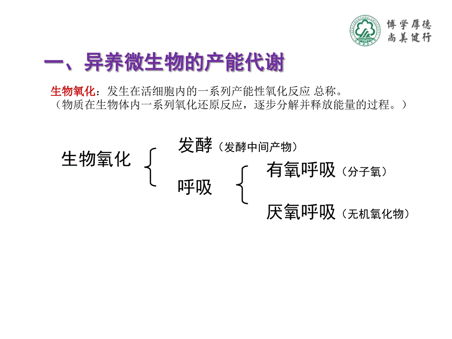 第二部分微生物的产能代谢_第2页