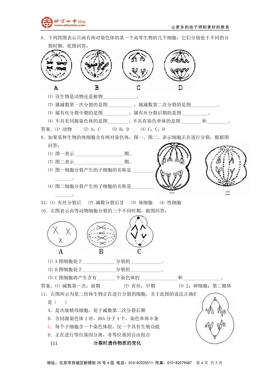 减数分裂和有丝分裂_第4页