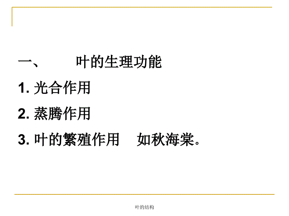 叶的结构优秀课件_第3页