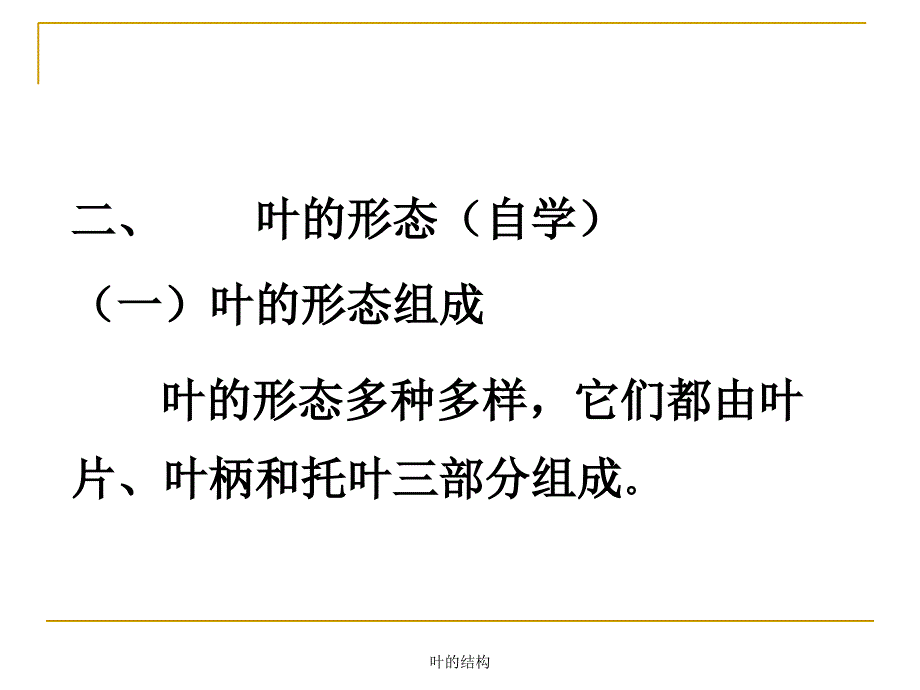 叶的结构优秀课件_第4页