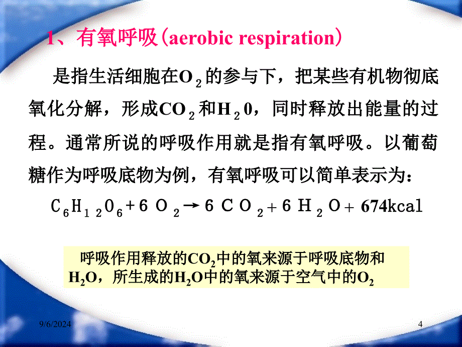 第三章园艺产品采后生理过程教学目标掌握园艺产品_第4页