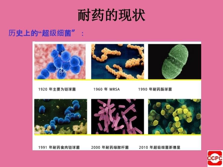 BBF与耐药的关系及应对措施ppt课件_第5页