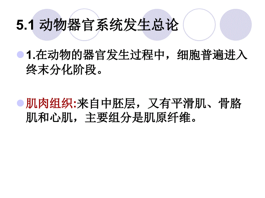 第五章1动物成体组织结构的形成和器官系统的发_第2页