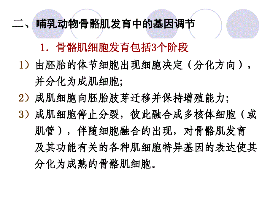 第五章1动物成体组织结构的形成和器官系统的发_第3页