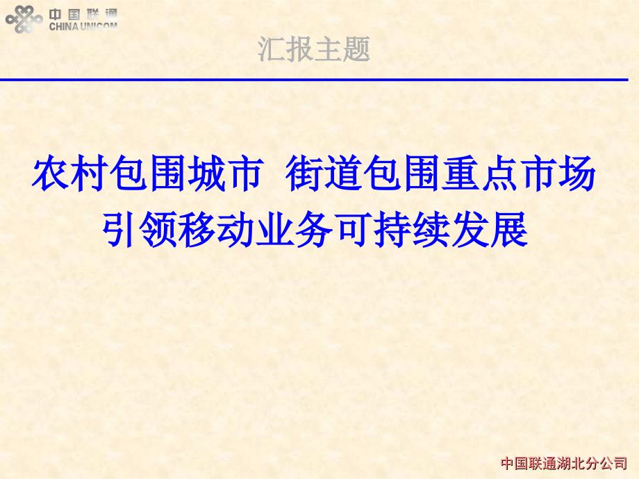 2004年湖北联通移动业务经营策略_第2页