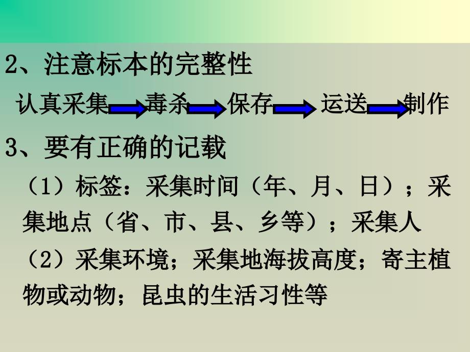 第六讲 昆虫标本_第4页