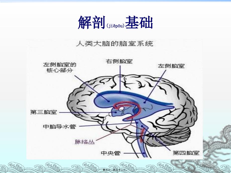 医学专题—侧脑室穿刺术311_第3页