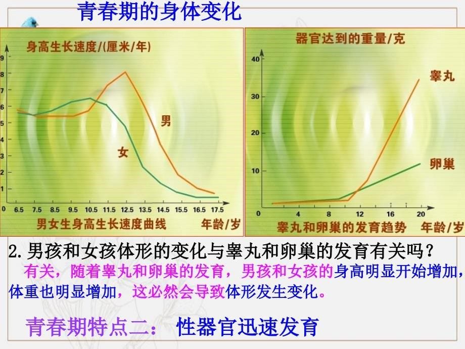 第三节青春期 (3)_第5页