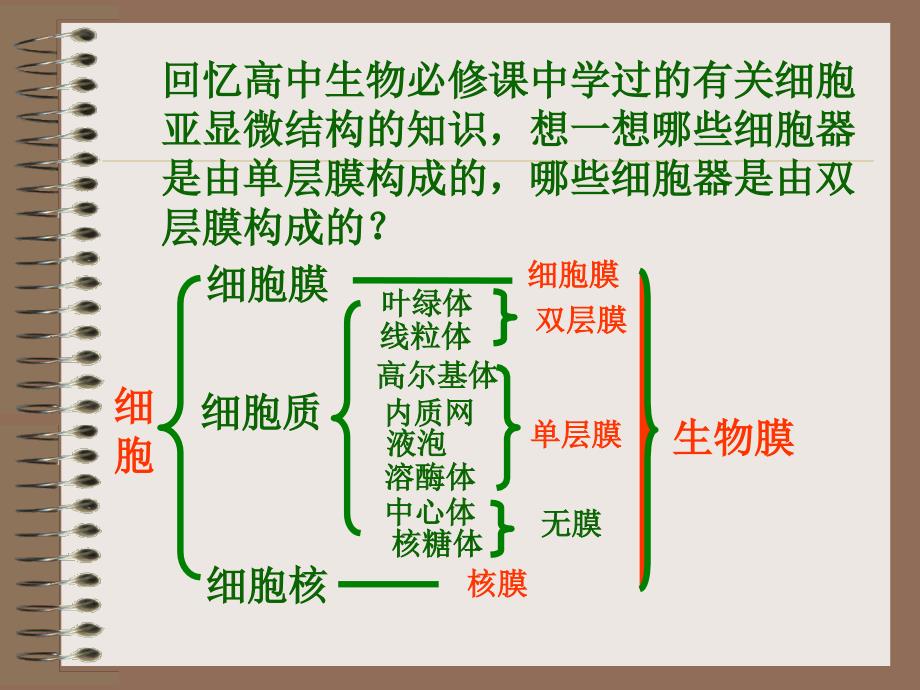 细胞的生物膜系统经典PPT课件_第2页