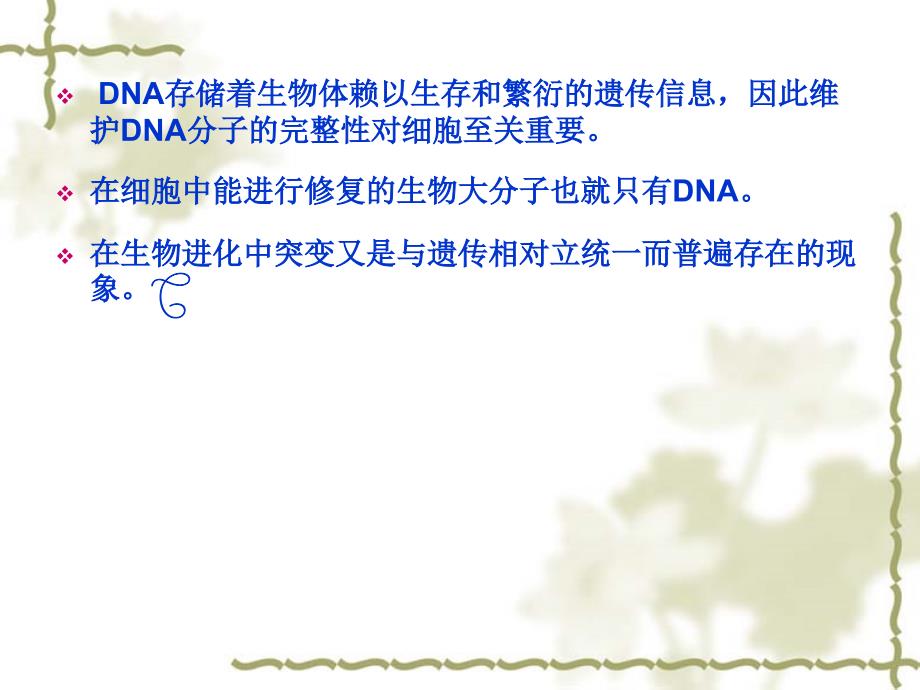 第十三部分DNA的损伤修复教学课件_第4页