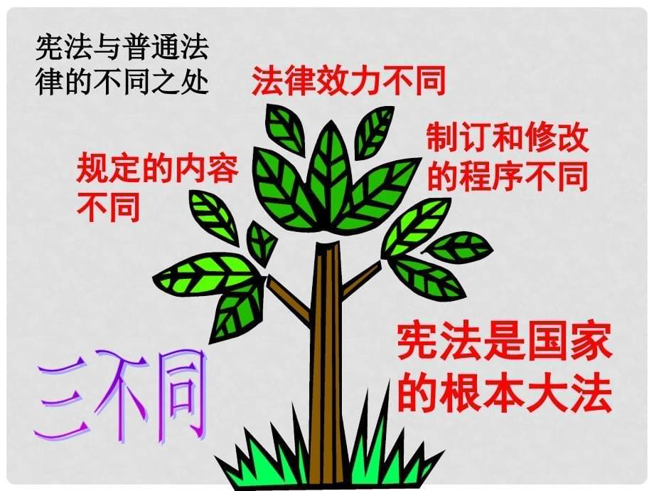 安徽省全椒县大墅中学九年级政治全册《宪法是国家的根本大法》课件 新人教版_第5页