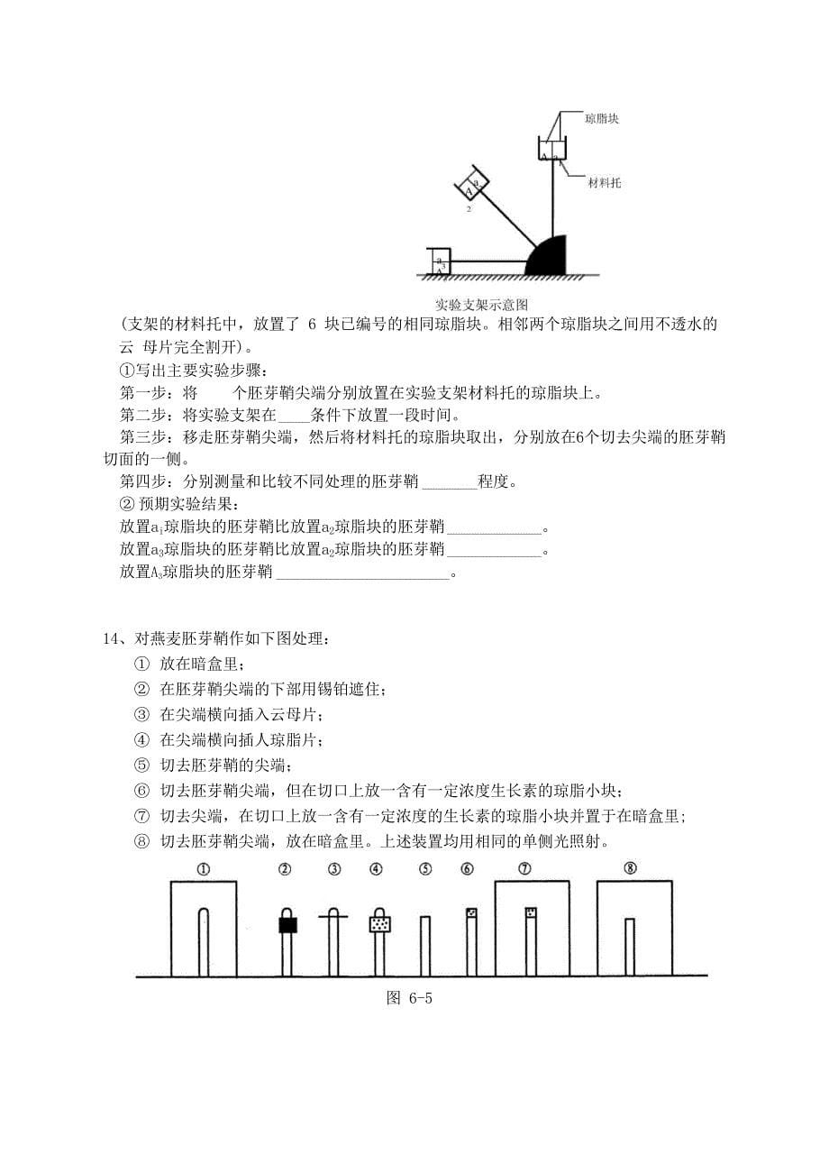 植物调节限时练习_第5页