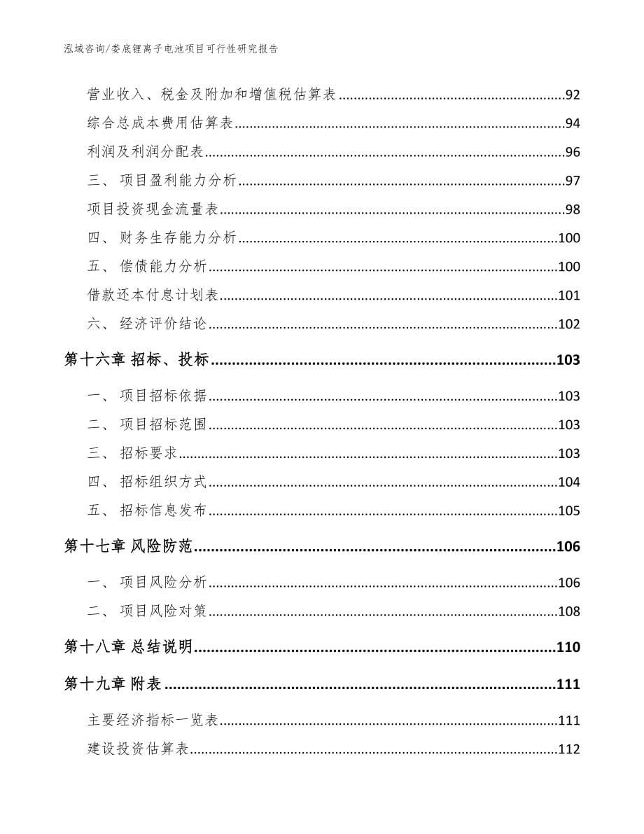 娄底锂离子电池项目可行性研究报告【模板范文】_第5页