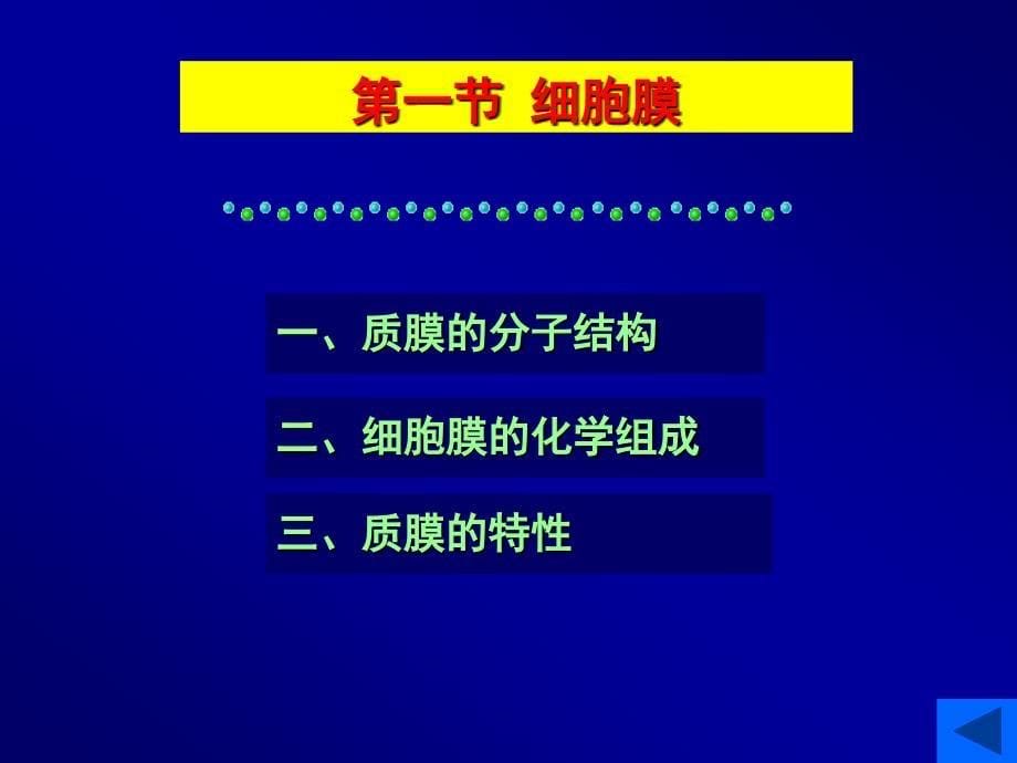 第04章 细胞质膜与细胞表面_第5页