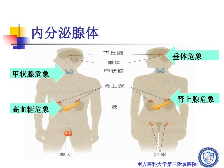 全科医生-内分泌急救_第2页